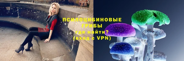 СК Балабаново